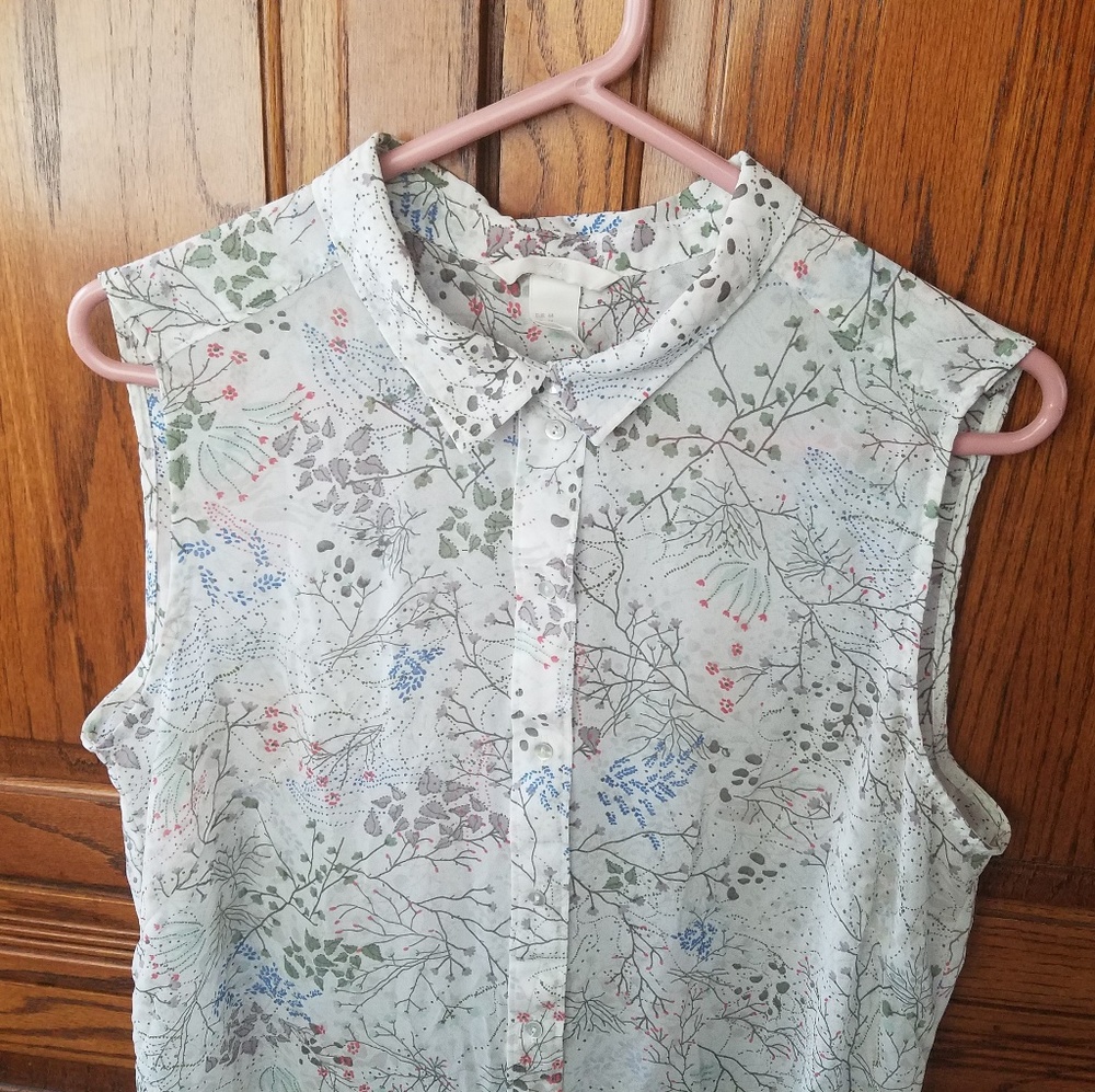 Sheer Button-Up Sleeveless Blouse